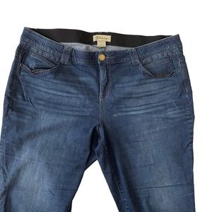 Democracy Ab Solution Blue 22W Plus Size Denim Skinny Jeans Stretch